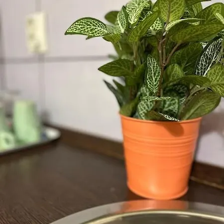 Apartmán 2# Sunflower Cozy